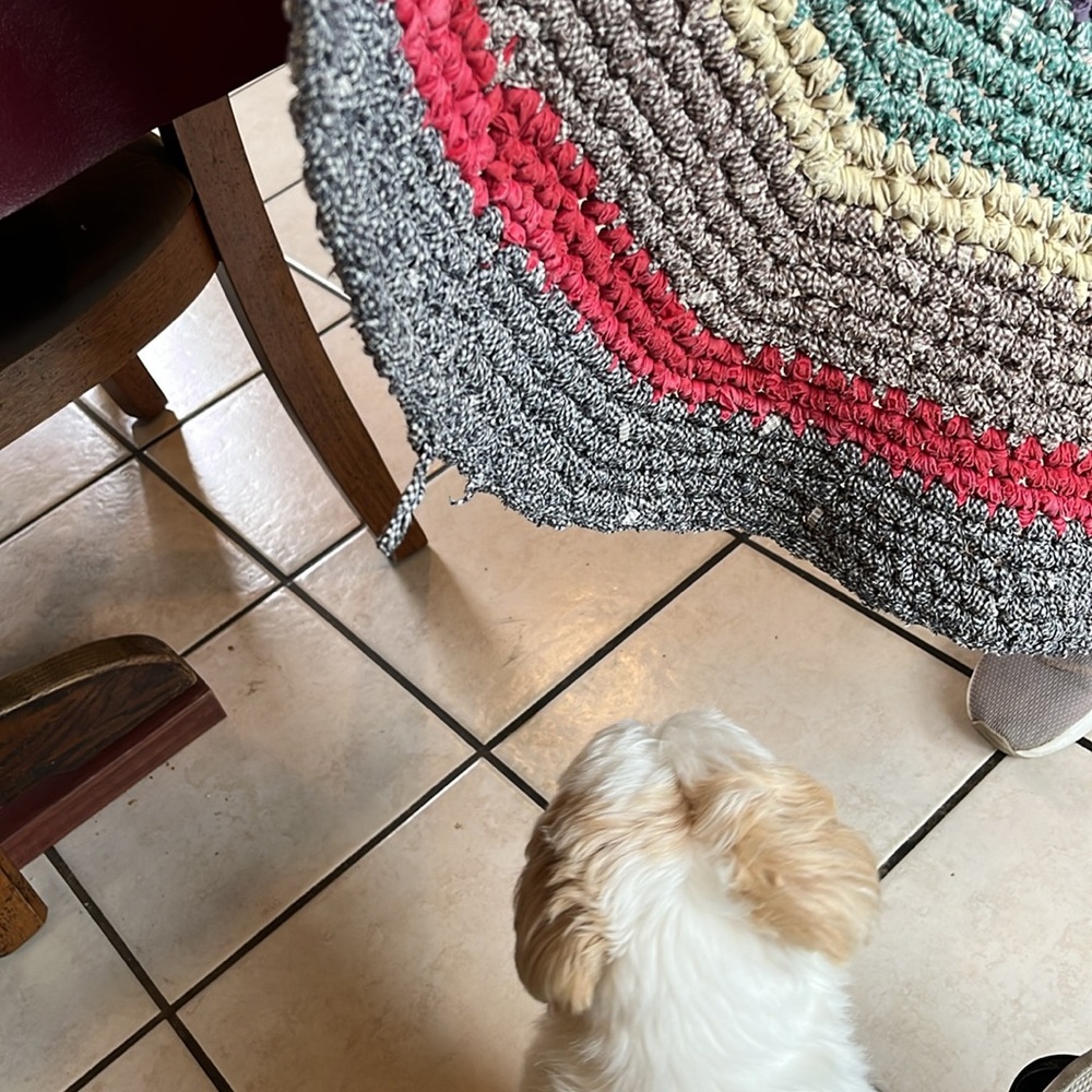Multicolor Braided Rugs - Picture 8 of 8